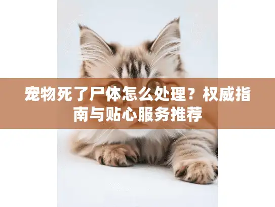 宠物死了尸体怎么处理？权威指南与贴心服务推荐
