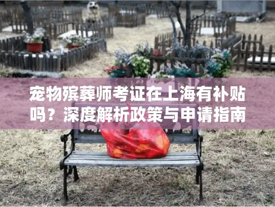 宠物殡葬师考证在上海有补贴吗？深度解析政策与申请指南