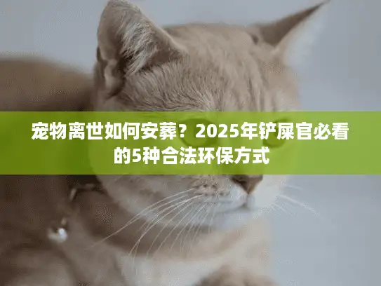 宠物离世如何安葬？2025年铲屎官必看的5种合法环保方式