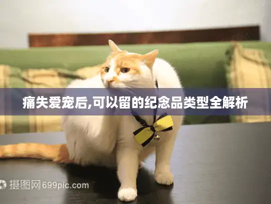 痛失爱宠后,可以留的纪念品类型全解析