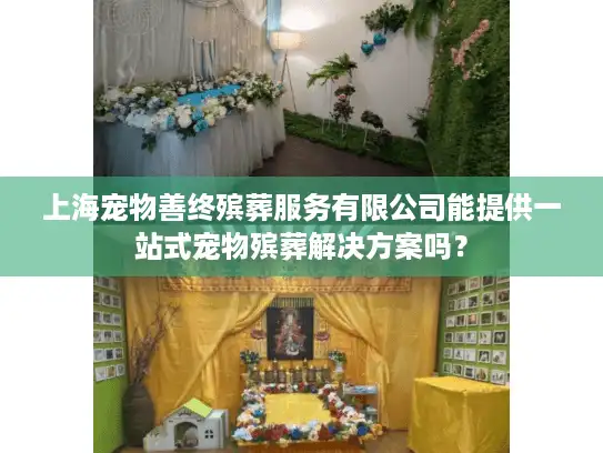 上海宠物善终殡葬服务有限公司能提供一站式宠物殡葬解决方案吗？