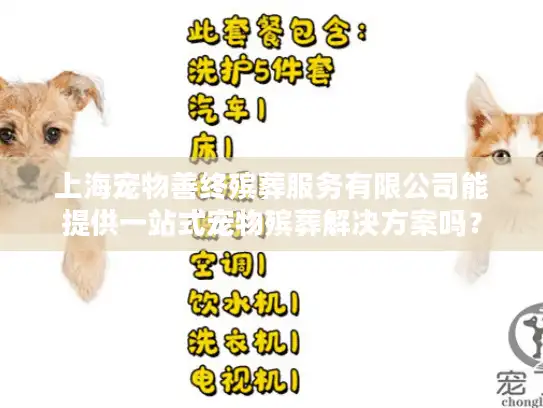 上海宠物善终殡葬服务有限公司能提供一站式宠物殡葬解决方案吗？