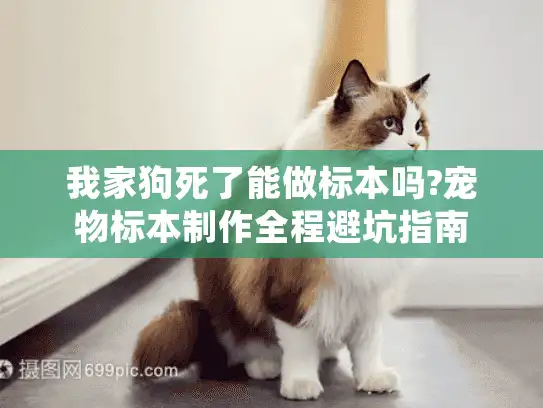 我家狗死了能做标本吗?宠物标本制作全程避坑指南