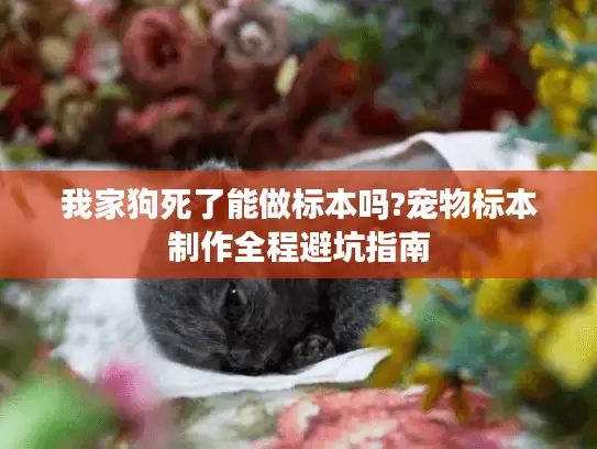 我家狗死了能做标本吗?宠物标本制作全程避坑指南