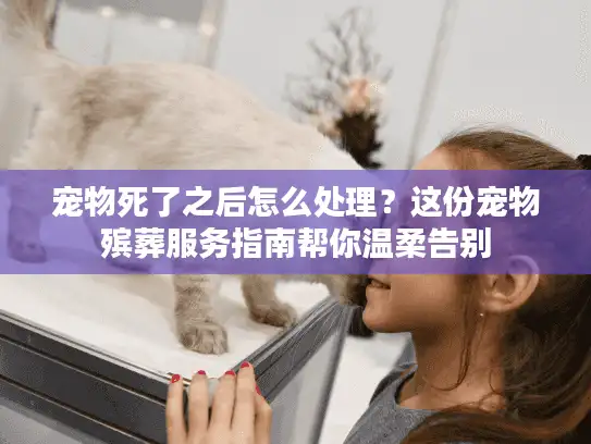 宠物死了之后怎么处理？这份宠物殡葬服务指南帮你温柔告别
