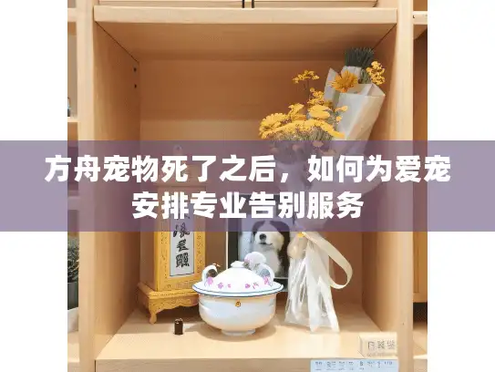 方舟宠物死了之后，如何为爱宠安排专业告别服务