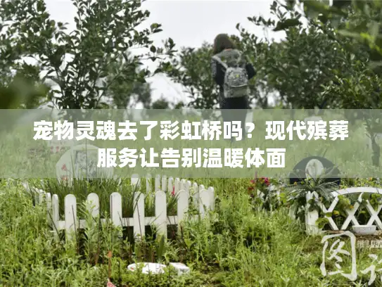 宠物灵魂去了彩虹桥吗？现代殡葬服务让告别温暖体面