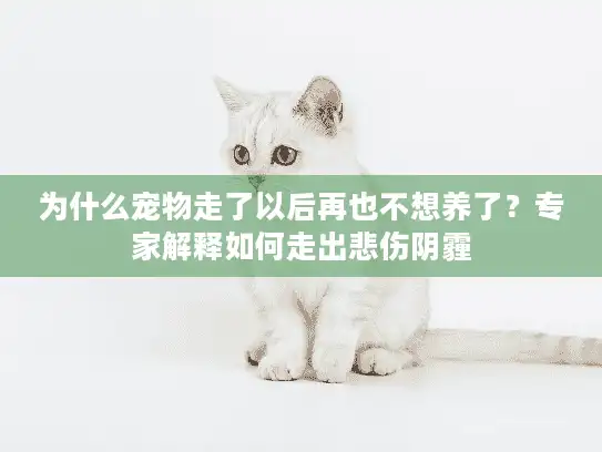 为什么宠物走了以后再也不想养了？专家解释如何走出悲伤阴霾