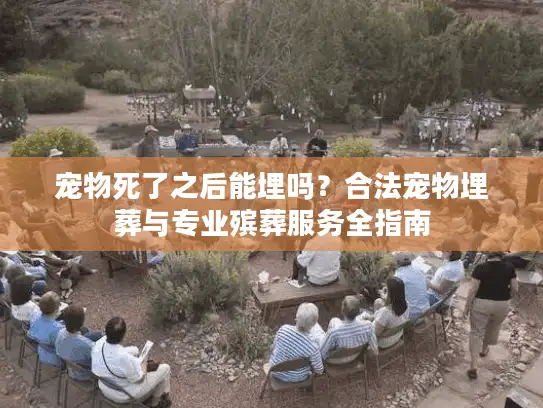 宠物死了之后能埋吗？合法宠物埋葬与专业殡葬服务全指南