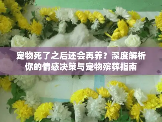 宠物死了之后还会再养？深度解析你的情感决策与宠物殡葬指南