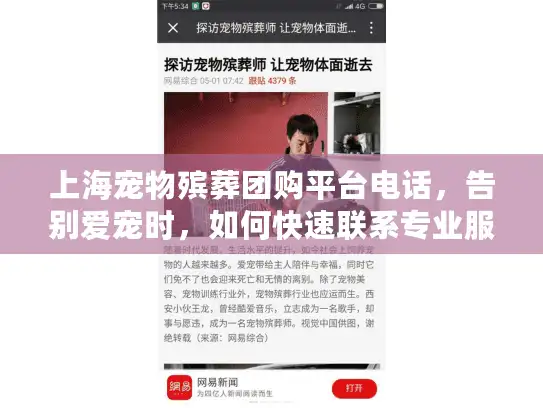 上海宠物殡葬团购平台电话，告别爱宠时，如何快速联系专业服务？