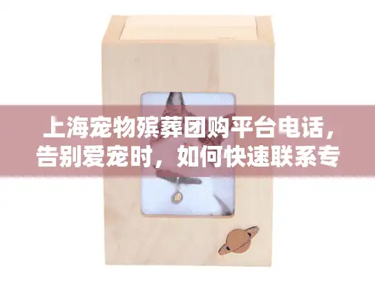 上海宠物殡葬团购平台电话，告别爱宠时，如何快速联系专业服务？