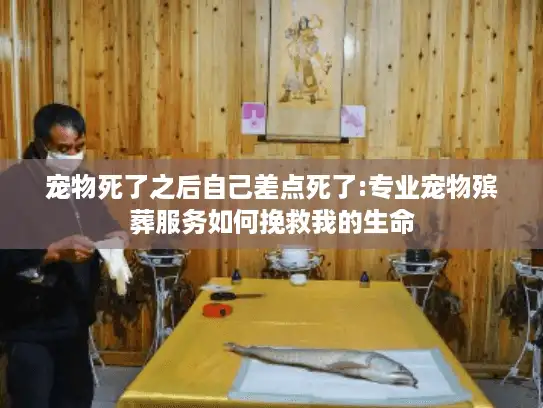 宠物死了之后自己差点死了:专业宠物殡葬服务如何挽救我的生命