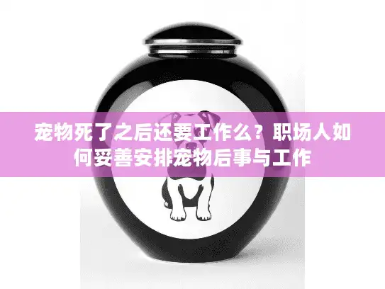 宠物死了之后还要工作么？职场人如何妥善安排宠物后事与工作