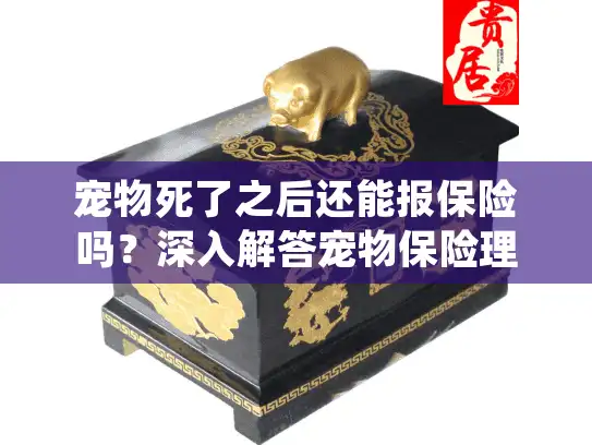 宠物死了之后还能报保险吗？深入解答宠物保险理赔细节