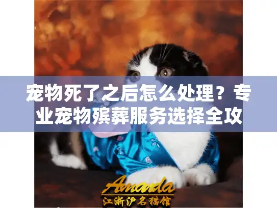宠物死了之后怎么处理？专业宠物殡葬服务选择全攻略