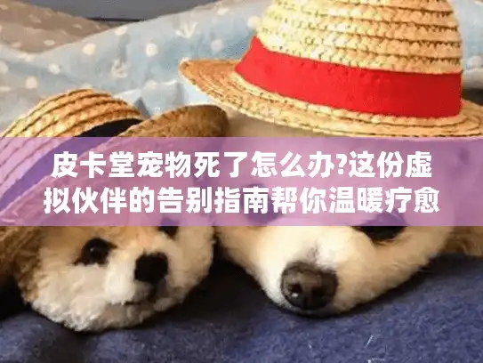 皮卡堂宠物死了怎么办?这份虚拟伙伴的告别指南帮你温暖疗愈