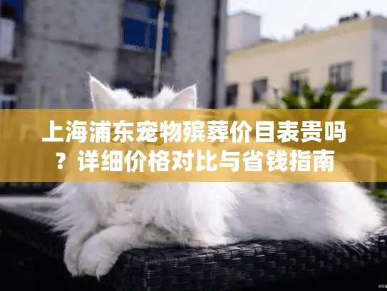 上海浦东宠物殡葬价目表贵吗？详细价格对比与省钱指南