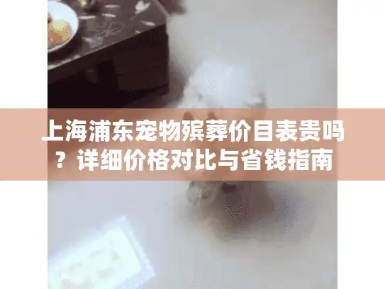 上海浦东宠物殡葬价目表贵吗？详细价格对比与省钱指南