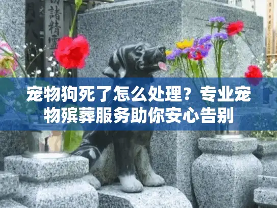 宠物狗死了怎么处理？专业宠物殡葬服务助你安心告别