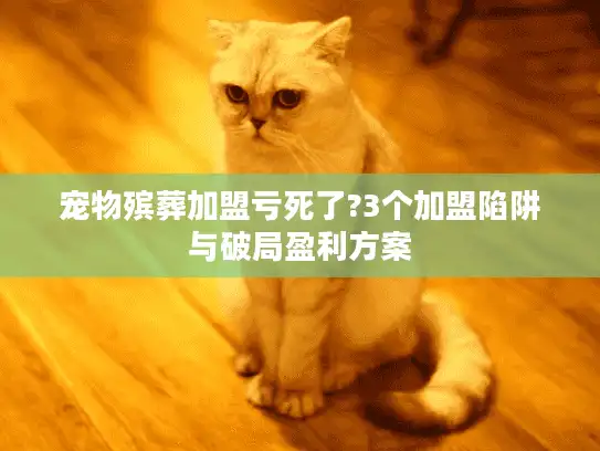 宠物殡葬加盟亏死了?3个加盟陷阱与破局盈利方案
