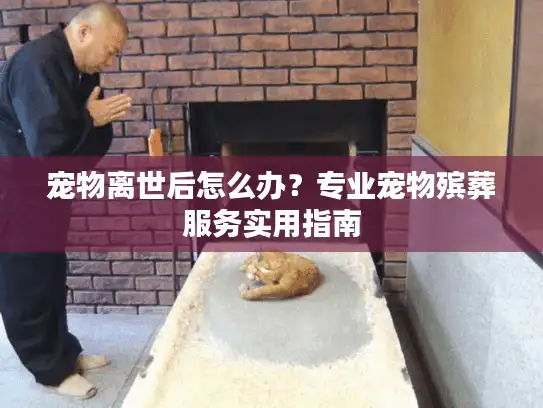 宠物离世后怎么办？专业宠物殡葬服务实用指南