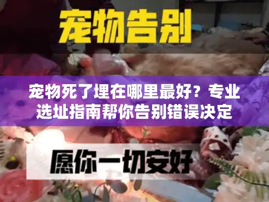 宠物死了埋在哪里最好？专业选址指南帮你告别错误决定