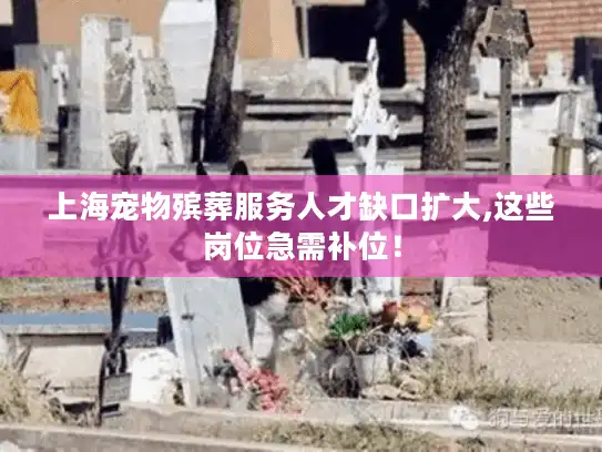 上海宠物殡葬服务人才缺口扩大,这些岗位急需补位！