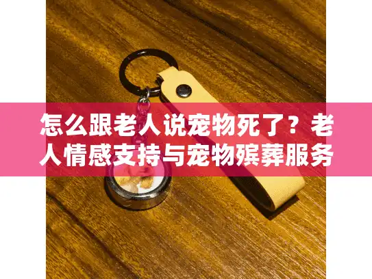 怎么跟老人说宠物死了？老人情感支持与宠物殡葬服务指南