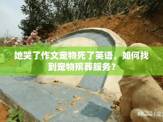 她哭了作文宠物死了英语，如何找到宠物殡葬服务？