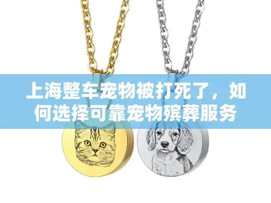 上海整车宠物被打死了，如何选择可靠宠物殡葬服务？