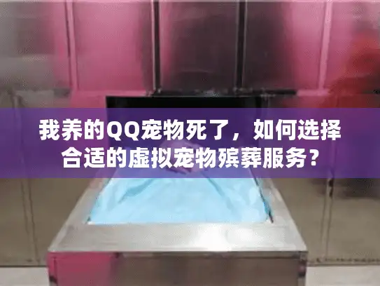 我养的QQ宠物死了，如何选择合适的虚拟宠物殡葬服务？