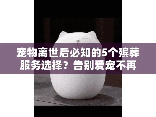 宠物离世后必知的5个殡葬服务选择？告别爱宠不再迷茫