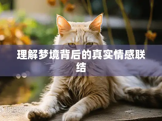 理解梦境背后的真实情感联结