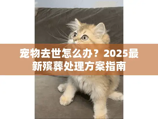 宠物去世怎么办？2025最新殡葬处理方案指南