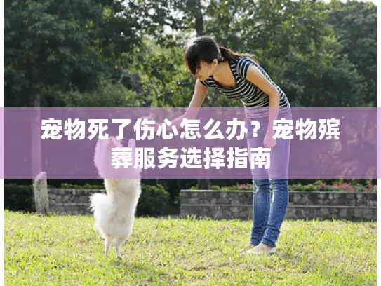 宠物死了伤心怎么办？宠物殡葬服务选择指南