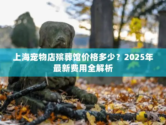 上海宠物店殡葬馆价格多少？2025年最新费用全解析