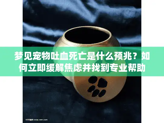梦见宠物吐血死亡是什么预兆？如何立即缓解焦虑并找到专业帮助