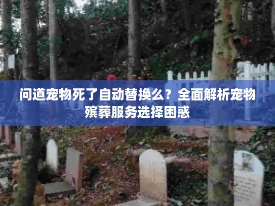 问道宠物死了自动替换么？全面解析宠物殡葬服务选择困惑