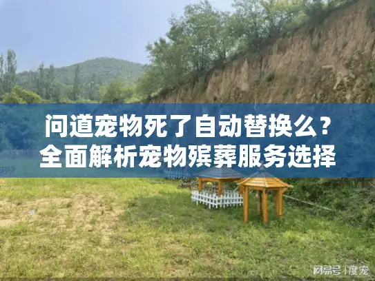 问道宠物死了自动替换么？全面解析宠物殡葬服务选择困惑