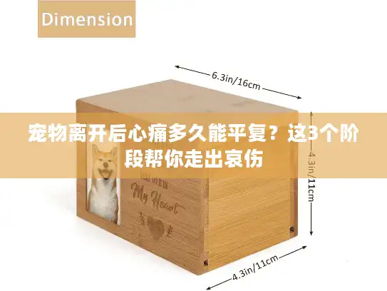 宠物离开后心痛多久能平复？这3个阶段帮你走出哀伤