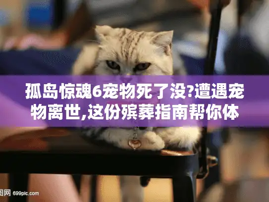 孤岛惊魂6宠物死了没?遭遇宠物离世,这份殡葬指南帮你体面告别