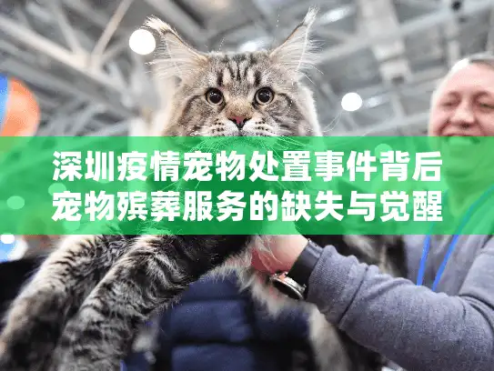 深圳疫情宠物处置事件背后宠物殡葬服务的缺失与觉醒
