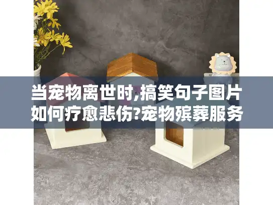 当宠物离世时,搞笑句子图片如何疗愈悲伤?宠物殡葬服务指南