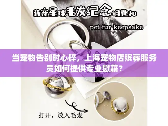 当宠物告别时心碎，上海宠物店殡葬服务员如何提供专业慰藉？