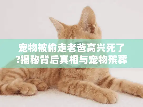 宠物被偷走老爸高兴死了?揭秘背后真相与宠物殡葬服务指南