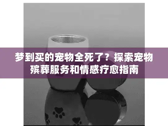 梦到买的宠物全死了？探索宠物殡葬服务和情感疗愈指南