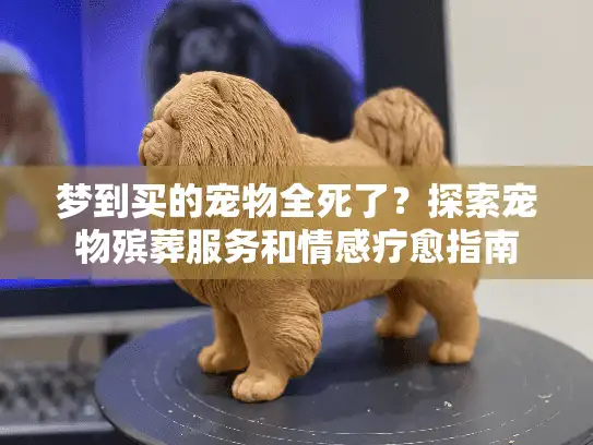 梦到买的宠物全死了？探索宠物殡葬服务和情感疗愈指南