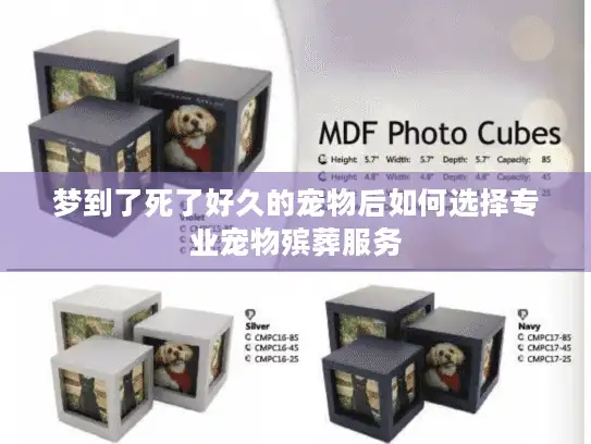 梦到了死了好久的宠物后如何选择专业宠物殡葬服务