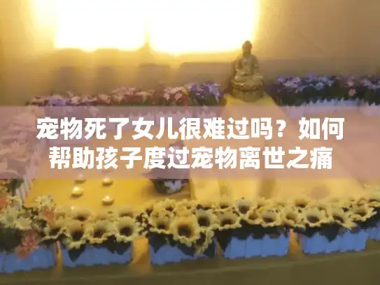 宠物死了女儿很难过吗？如何帮助孩子度过宠物离世之痛